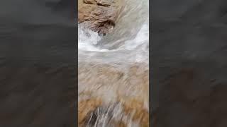 GAUNDI KHOLA #villagelife #diy #youtubeshorts #river