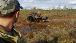 Болотоход Росомаха в Васюганском болоте