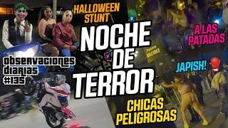 PIBAS ARMAN BARDO  A LA SALIDA DEL BAILE - NOCHE DE HALLOWEEN EN SALTA - Observaciones Diarias 135