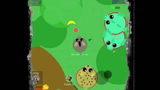 Donkey trolling- Mope.io