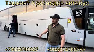 Краснодар Ташкент автобус tashkent krasnodar avtobus