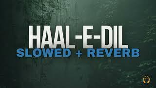 Haal e Dil || Heart Touching Naat || Zohaib Ashrafi || Slowed & Reverb