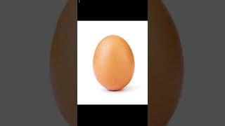 Just an Egg