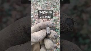 Гильза пистолетная стальная. Коп в лесу. Treasure hunting with a metal detector #shorts