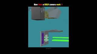 How does a DSLR camera work  | #shorts #camera