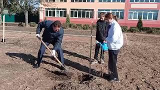 В Полоцке на территории 14 ой школы заложили фруктовый сад