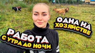 Мои Сутки в Деревне! 24 часа за 35 минут! | Молодая Ферма