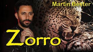 Zorro - Martin Bester