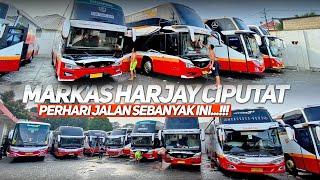 MAIN KE SARANGNYA KUDA TULUNGAGUNG‼️SEBANYAK INI YANG JALAN DALAM SEHARI DARI POL HARJAY CIPUTAT‼️