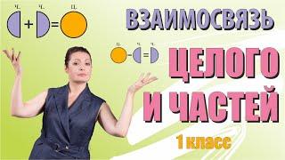 Целое и части. Математика 1 класс.