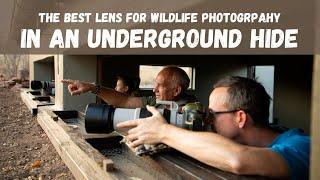 What is the best lens for wildlife photography in an underground hide?