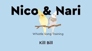 Kill Bill, Parrot Whistle Training