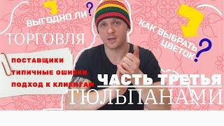 ИНСТРУКЦИЯ ПО ПРОДАЖЕ ТЮЛЬПАНОВ НА 8 МАРТА / Выбор поставщика тюльпанов, особенности