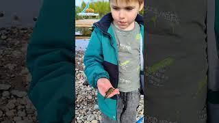 Рыбалка на Байкале... бывает разной  #рыбалканабайкале #рыбалка #байкал