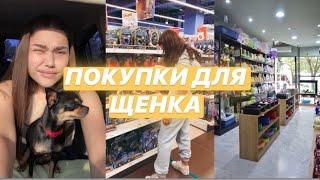 ПОКУПКИ ДЛЯ ЩЕНКА|готовимся к появлению щенка дома