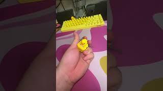 The rubber duck keychain fidget toy that quacks when you press!