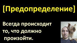 Всегда происходит то, что должно произойти. Предопределение. Фатальность [Судьба человека]