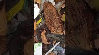 Restore Nokia Model old phone ️  #shortsvideo