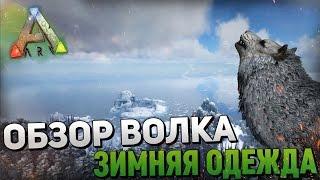 ARK SURIVAL EVOLVED - ОБЗОР ВОЛКА,ЗИМНЯЯ ОДЕЖДА,#10