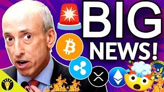 BIG CRYPTO NEWS! RIPPLE RLUSD, SEC XRP APPEAL, & LITECOIN ETF!