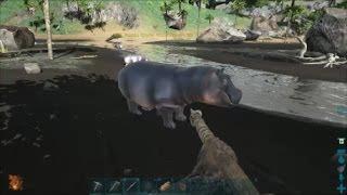 ARK Additional Creatures Mod - Cyprus Dwarf Hippo