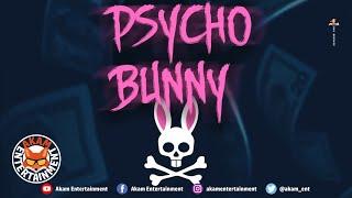 Lisa Hyper - Psyco Bunny [Audio Visualizer]