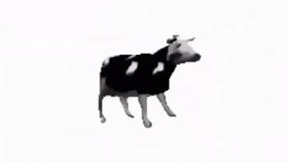 Polish Cow - Mr. Casual