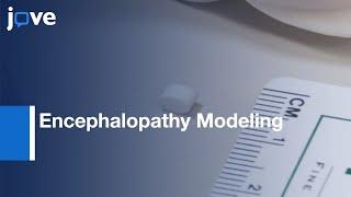 Encephalopathy Modeling by a Novel Method | Protocol Preview