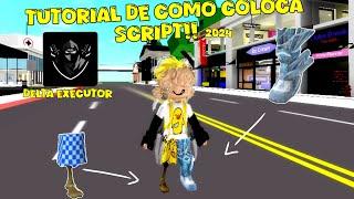 tutorial de como colocar script!! 2024