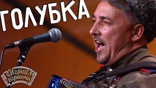 Играй, гармонь! | Алексей Ефимов (Волгоградская обл.) и Ансамбль Г. Заволокина «Частушка» | Голубка