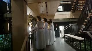 Lucia Songs in Gothenburg, Sweden – December 2024 (Part 5 of 9)