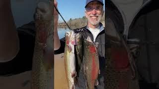 not getting trout bites? try this (STOCKED trout fishing)