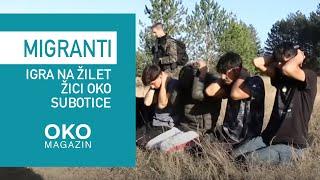 Oko magazin: Migranti - igra na žilet žici oko Subotice