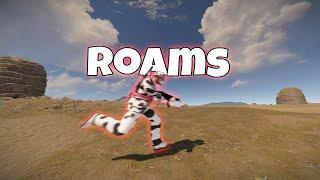 Roaming - Rust Console