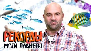 Водные развлечения. Рекорды Моей Планеты с Тимофеем Баженовым @moyaplaneta