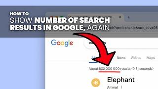 See Number of Search Results in a Google Search (2024)