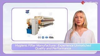 Hygienic Filter Manufacturer: Experience Unmatched Quality and Performance