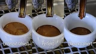 Extraktionsgrade beim Espresso: Unter-, über-, und perfekt extrahiert