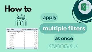 Excel Pivot Table: How To Apply Multiple Filters at ONCE