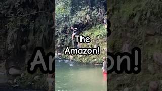 Adventures in the Amazon! #shorts #amazon #cliff