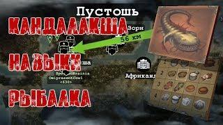 НА ПУТИ В КАНДАЛАКШУ! ПРОКАЧКА НАВЫКОВ! РЫБАЛКА! - Day R Survival