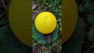 yellow egg on the leaf #horror #scary #creepy #bhoot #theghost #ncs #egg