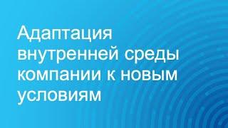 Рабочая схема — Адаптация внутренней среды компании