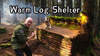 Man and dog build log hut in forest in Ireland