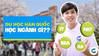 Những ngành học bạn nên chọn khi du học Hàn Quốc | Green Academy