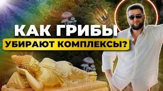 Как грибы освобождают от мыслей и комплексов? Реальный опыт. Павел Дмитриев