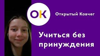 Учиться без принуждения | Открытый Ковчег