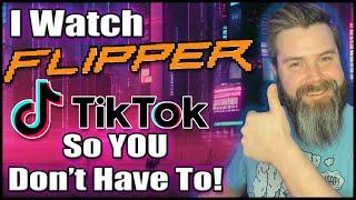 I Explain Flipper Zero videos on TikTok So You Don't Have To! 