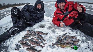 Рыбалка на  Лесном озере, Окуни черные как уголь | Мормышка или Балансир, что лучше для ловли Окуня?