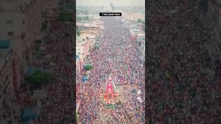 Jaganath Puri Rath Yatra️#jagannath #purijagannath #shortvideo#rathyatra #udisha#jaihoinstitude